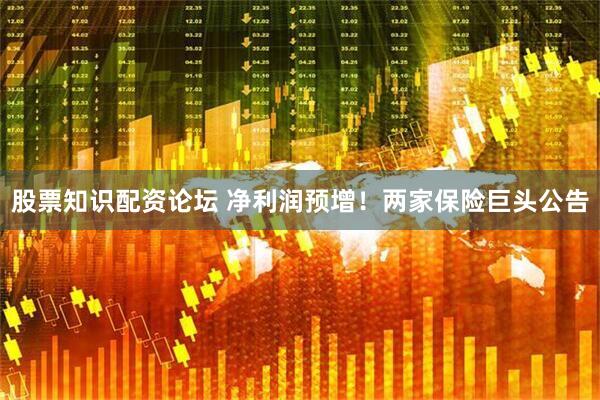 股票知识配资论坛 净利润预增！两家保险巨头公告
