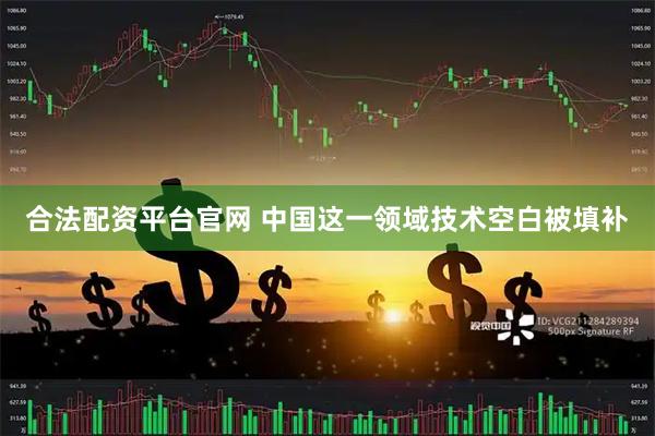 合法配资平台官网 中国这一领域技术空白被填补