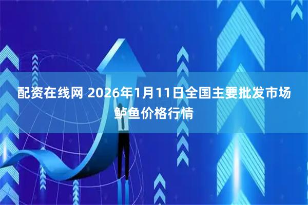 配资在线网 2026年1月11日全国主要批发市场鲈鱼价格行情